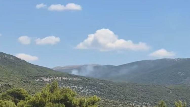 Φωτιά τώρα σε δασική έκταση στα Βίλια, σηκώθηκαν 7 εναέρια
