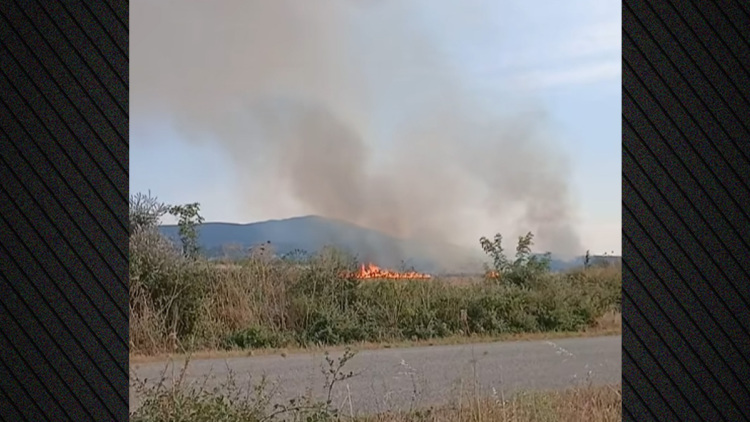 Φωτιά τώρα σε ξερά χόρτα στην Εργάνη Ροδόπης, σηκώθηκαν τέσσερα εναέρια, δείτε βίντεο