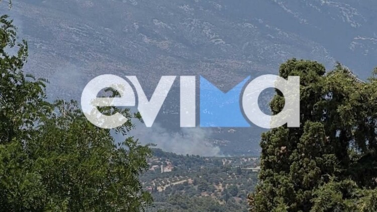 Μεγάλη φωτιά στην Εύβοια: Εστάλη 112 για εκκένωση του χωριού της Επισκοπής