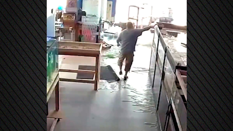 Τεράστιο ενυδρείο έσπασε σε petshop, νεκρά εκατοντάδες ψάρια - Δείτε βίντεο