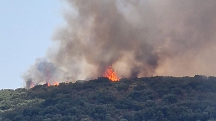 Φωτιά στον Αγερανό Λακωνίας: Ενισχύθηκαν οι δυνάμεις, 112 για ετοιμότητα, δείτε βίντεο 