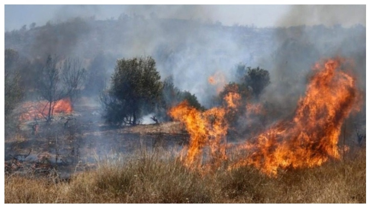 Φωτιά στο Πλωμάρι της Λέσβου, 112 για ετοιμότητα