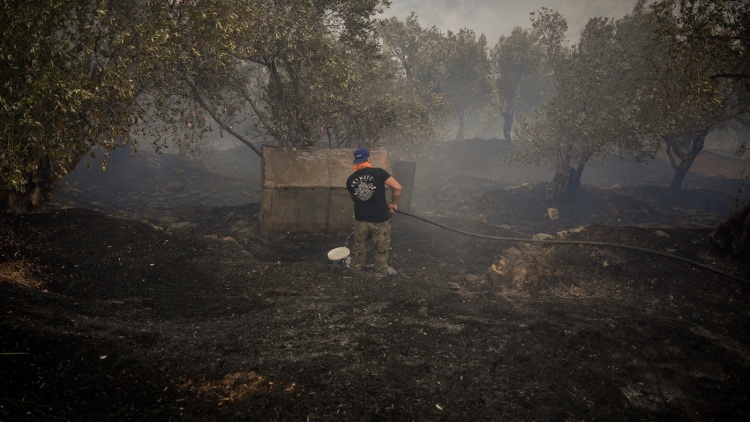 1.000 καμένα στρέμματα η πρώτη εκτίμηση από τη φωτιά στο Πλωμάρι, αγωνία για τις αναζωπυρώσεις