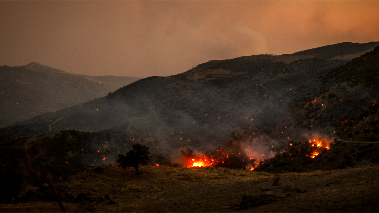Πολύ μεγάλο το μέτωπα στο Ρέθυμνο, δυσκολεύονται να επιχειρήσουν τα εναέρια λόγω των ισχυρών ανέμων