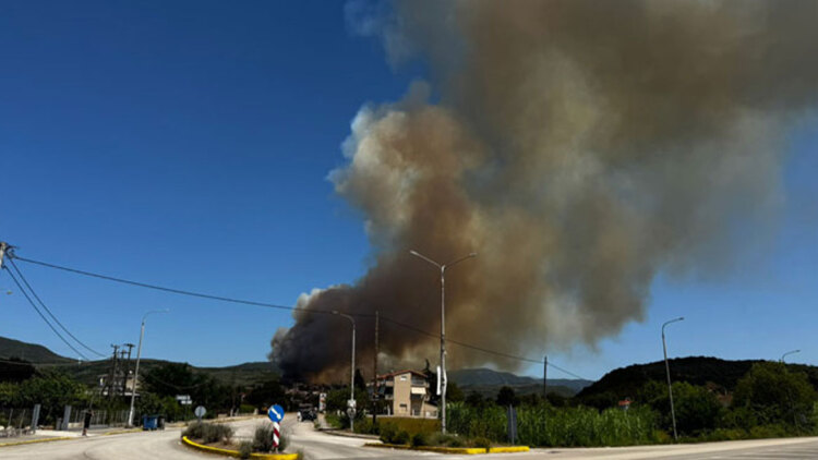 Φωτιά τώρα σε δασική έκταση στο Κομπότι Άρτας, μήνυμα του 112 για ετοιμότητα 
