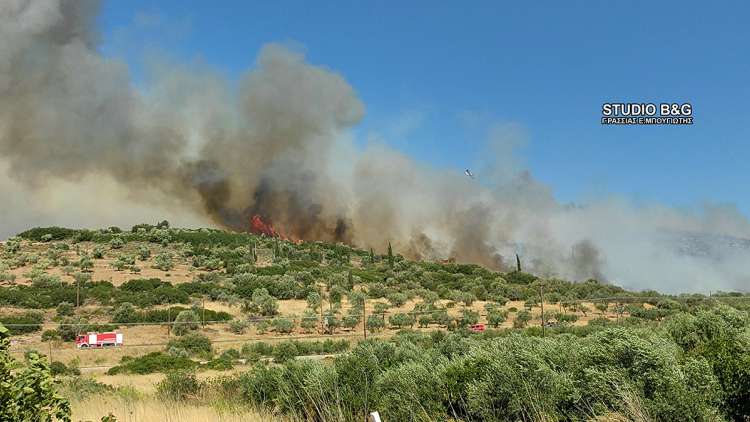 Νέα φωτιά στην Αργολίδα, κοντά στις Μυκήνες - Μαίνεται η πυρκαγιά στη Βοιωτία, μπαράζ από μηνύματα του 112 για εκκενώσεις