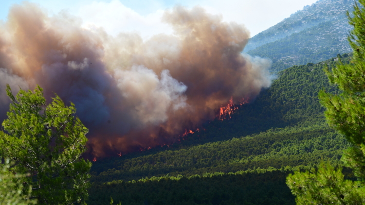 H συμπεριφορά της φωτιάς στη Βοιωτία ήταν κατά διαστήματα ακραία, λέει ο πυρομετεωρολόγος Θεόδωρος Γιάνναρος, τι έδειξαν τα δορυφορικά δεδομένα
