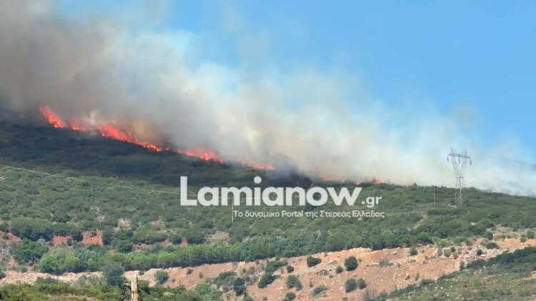 Φωτιά στην Καμηλόβρυση Λαμίας, επιχειρούν 4 εναέρια 