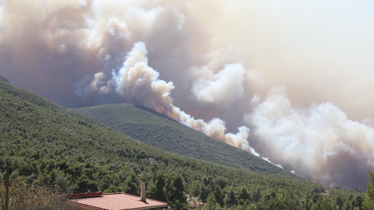 Φωτιά στο Πόρτο Γερμενό: Δύο μέτωπα προς Αγία Παρασκευή και Μύτικα, πολύ ισχυροί άνεμοι τις επόμενες δύο ώρες
