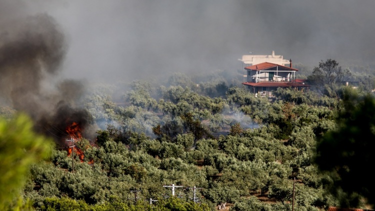Φωτιά στη Βοιωτία: Σε απόσταση 10 μέτρων από τα σπίτια στη Λιβαδόστρα οι φλόγες, λέει ο πρόεδρος Λεύκτρων