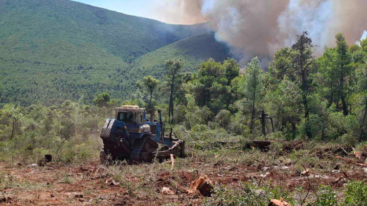 Καρέ καρέ η επιχείρηση δημιουργίας αντιπυρικών ζωνών σε Κρύο Πηγάδι και Βίλια, δείτε βίντεο και φωτογραφίες 
