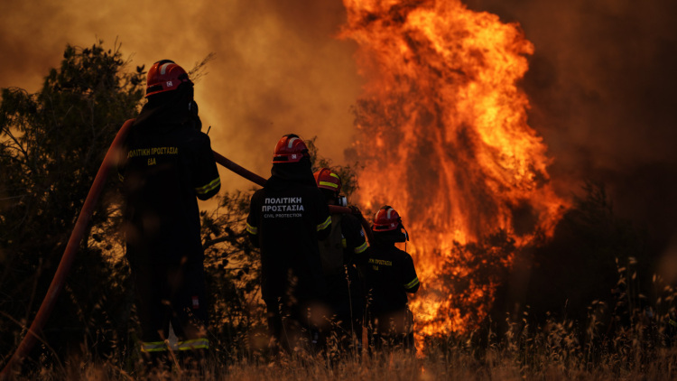 Συνελήφθη 66χρονος για πρόκληση πυρκαγιάς στην Χαλκιδική, του επιβλήθηκε πρόστιμο 1.687,50 ευρώ