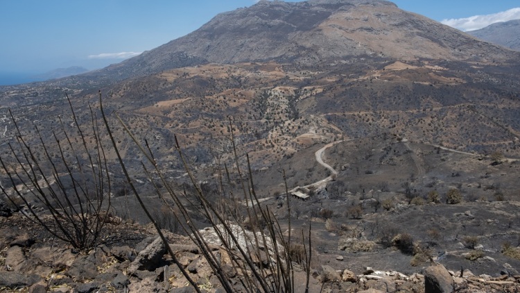 Αιτήσεις για αποζημιώσεις πυρόπληκτων επιχειρήσεων στον Δήμο Αγίου Βασιλείου στο Ρέθυμνο έως 1η Οκτωβρίου 