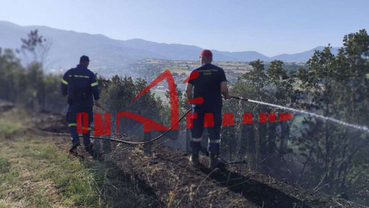 Φωτιά τώρα στην περιοχή Βροντού Πιερίας, επιχειρούν 14 πυροσβέστες με 6 οχήματα