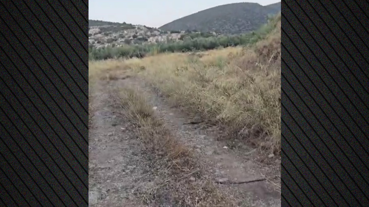 Σε αγροτική περιοχή θαμμένη κάτω από δέντρα εντοπίστηκε η σορός του ψυχολόγου που δολοφονήθηκε στο Ναύπλιο, βίντεο