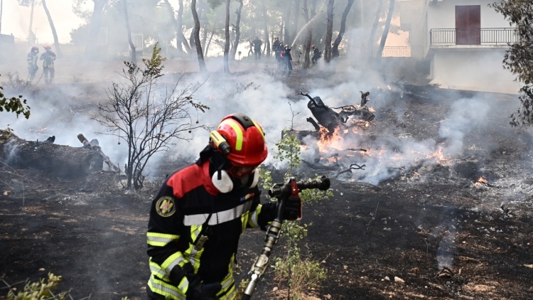 Βίντεο: Καρέ - καρέ η μάχη πυροσβεστών και εναέριων μέσων στη Λούμπα για να γλιτώσουν τον οικισμό από τις φλόγες