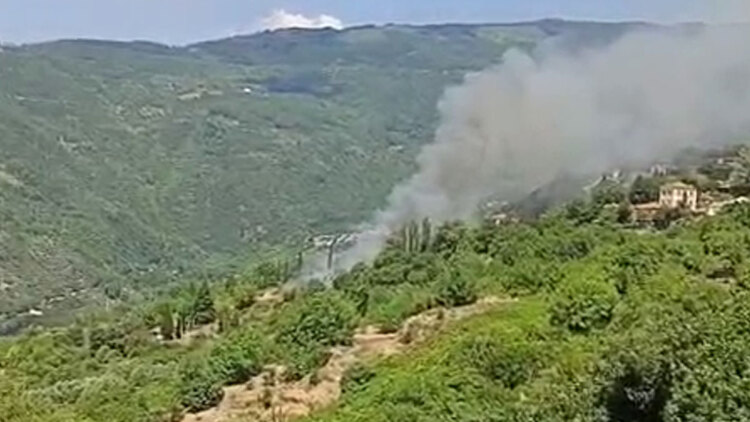 Φωτιά στον Άγιο Λαυρέντιο Πηλίου, σηκώθηκαν τρία αεροσκάφη  
