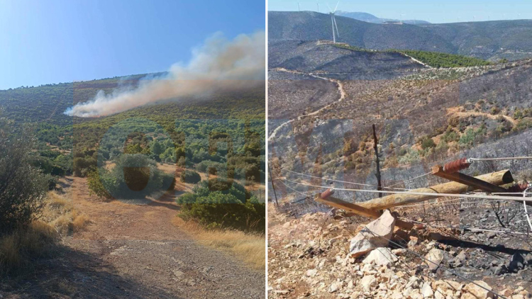 Πώς ξεκίνησε η φωτιά στη Βοιωτία: Τι αποκάλυψε η αυτοψία της Πυροσβεστικής «στο σημείο μηδέν», φωτογραφίες ντοκουμέντο