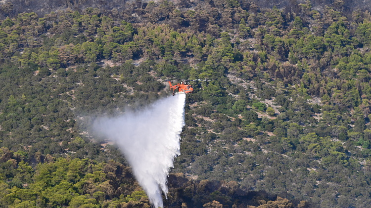 Χωρίς ενεργό μέτωπο η πυρκαγιά στη Δυτική Αττική, συνεχίζονται οι επιχειρήσεις στα καπνογόνα σημεία, σε επιφυλακή για αναζωπυρώσεις
