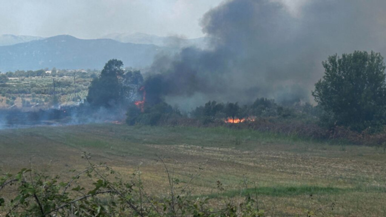 Φωτιά στη Μεγάλη Χώρα Αγρινίου, σηκώθηκαν δύο αεροσκάφη

