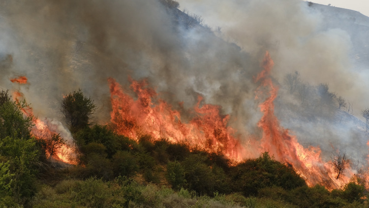 Μάχη με τις φλόγες εν μέσω καύσωνα στα Βαλκάνια: Πυρκαγιές σε Σερβία και Αλβανία με θερμοκρασίες έως 40 βαθμούς