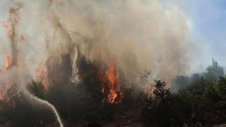 Φωτιά τώρα στην Ελάτεια Φθιώτιδας, ήχησε το 112 για ετοιμότητα