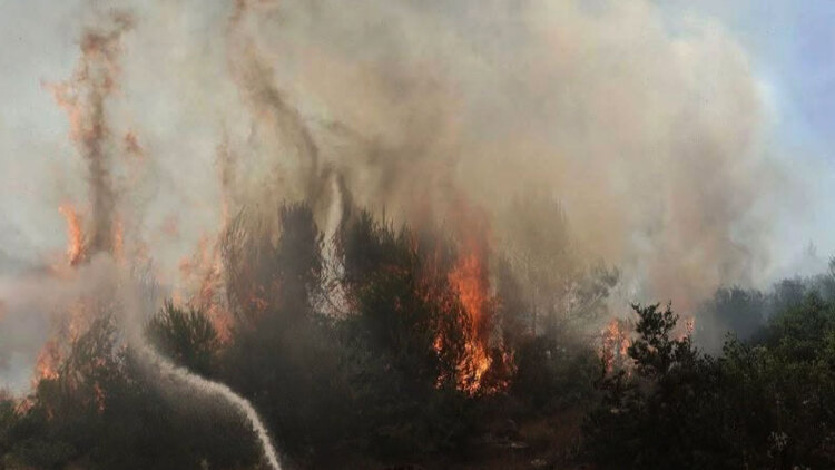 Φωτιά τώρα στο Στεφάνι Κορινθίας, 112 για ετοιμότητα, 7 εναέρια στη μάχη
