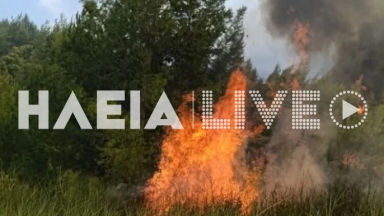 Φωτιά τώρα σε δάσος στο Μουζάκι Ηλείας, σηκώθηκαν τέσσερα εναέρια, δείτε βίντεο και φωτογραφίες