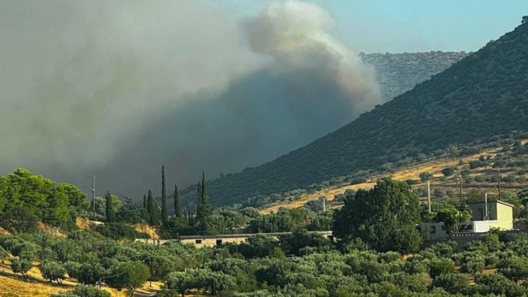 Φωτιά στον Κουβαρά Αττικής: Μήνυμα από το 112 για εκκένωση του Αγίου Στυλιανού, ενισχύθηκαν οι πυροσβεστικές δυνάμεις