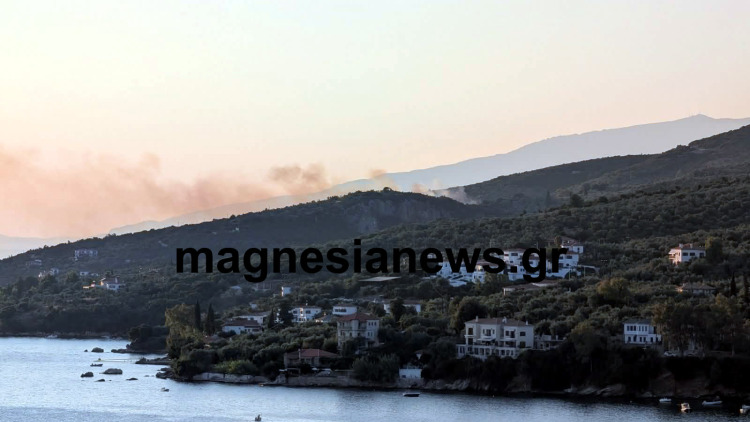 Φωτιά τώρα στην παραλία Πάου Νοτίου Πηλίου, 112 για ετοιμότητα, σηκώθηκαν τρία αεροσκάφη και ένα ελικόπτερο