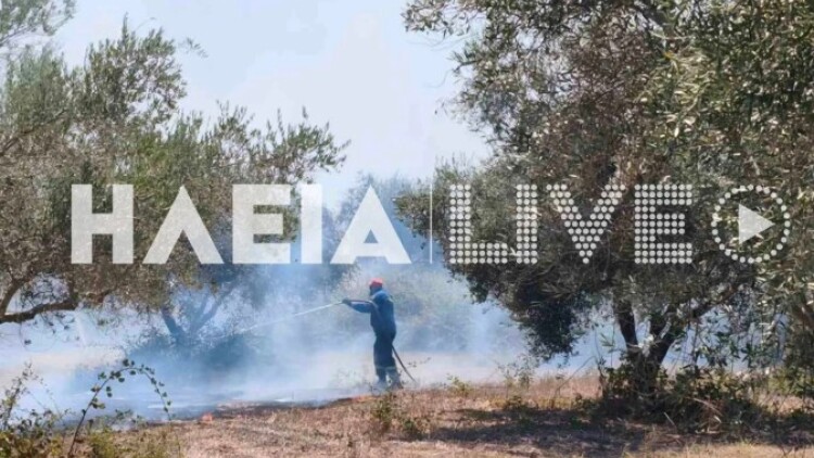 Φωτιά στο Χάβαρι Ηλείας, σηκώθηκαν 5 αεροσκάφη