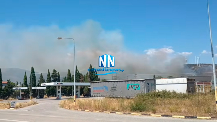 Φωτιά στη Μακύνεια Ναυπακτίας: 112 για ετοιμότητα, σηκώθηκαν 3 αεροσκάφη και 1 ελικόπτερο