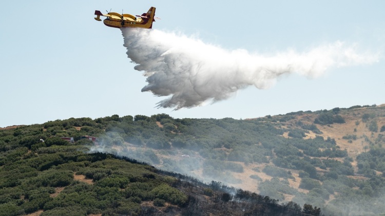 Ακραίος κίνδυνος πυρκαγιάς αύριο (14/8) σε Αττική, Βοιωτία, Εύβοια, Αργολίδα και Κορινθία