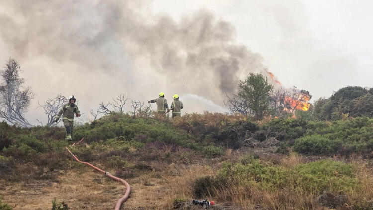 Ρεκόρ πυρκαγιών στη Βρετανία εν μέσω του πέμπτου κύματος καύσωνα: Κάηκαν σπίτια, εκατοντάδες εκκενώσεις