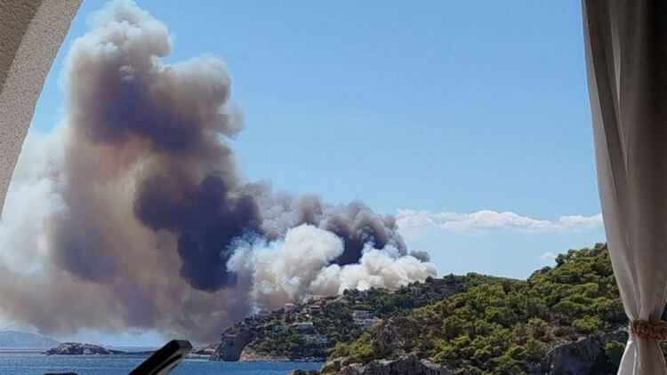 Φωτιά τώρα σε δασική έκταση στη Σαλαμίνα: Κινητοποιήθηκαν 92 πυροσβέστες και επτά εναέρια μέσα 