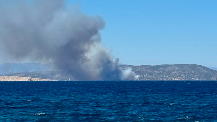 Φωτιά τώρα σε δασική έκταση στη Σαλαμίνα: Κινητοποιήθηκαν 82 πυροσβέστες και επτά εναέρια μέσα 