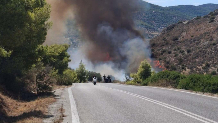 Δήμαρχος Σαλαμίνας για τις φωτιές: Απειλούνται σπίτια, έχουμε ζητήσει φέρι μποτ σε περίπτωση που δυσκολεύουν πολύ τα πράγματα