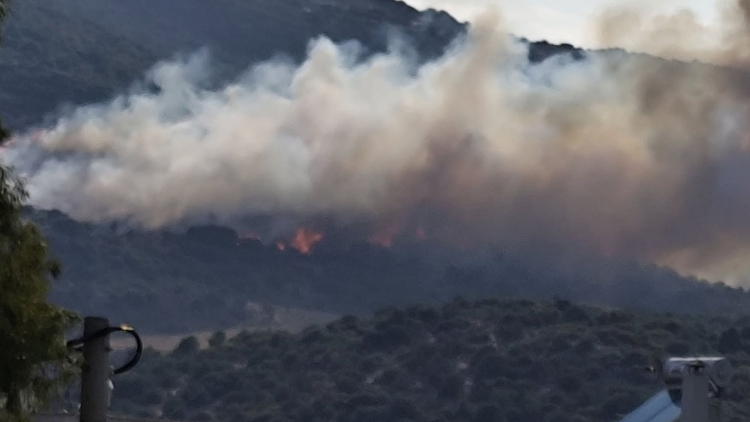 Φωτιά στα Αϊβαλιώτικα Βόλου: 112 για ετοιμότητα, σηκώθηκαν 2 ελικόπτερα