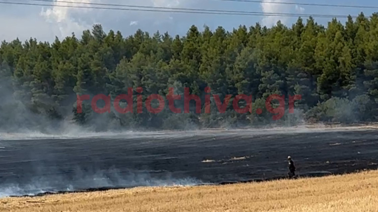 Φωτιά στη Θήβα: Σηκώθηκαν 3 εναέρια, δείτε βίντεο 