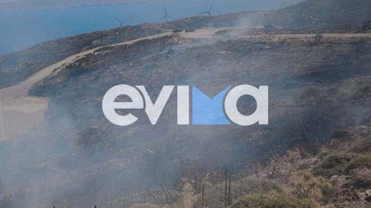 Φωτιά τώρα στην Κάρυστο Ευβοίας, σηκώθηκαν 2 εναέρια μέσα
