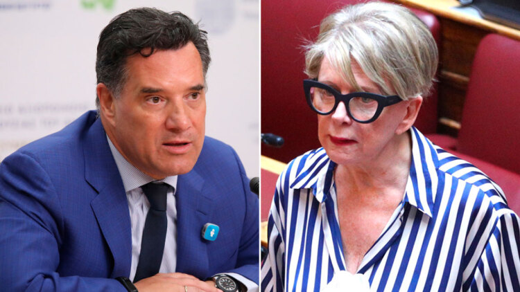 Γεωργιάδης κατά Ακρίτα για την επίσκεψη της Μαντόνα στην Ελλάδα: Αντί να χαρεί όπως κάθε λογικός άνθρωπος, βρήκε λόγο να μιζεριάσει 