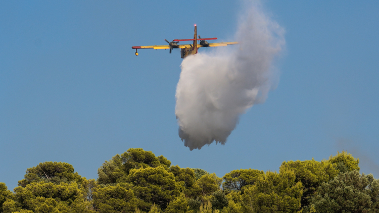 Υψηλός κίνδυνος πυρκαγιάς σήμερα, ποιες περιοχές βρίσκονται σε «κίτρινο» συναγερμό