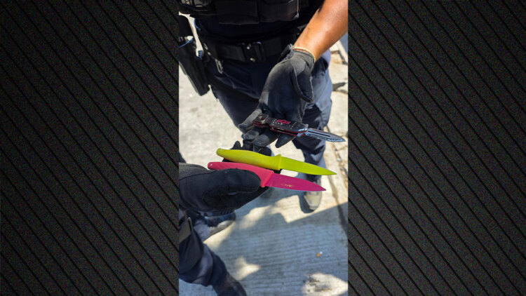 Συνελήφθησαν επτά Βούλγαροι στα διόδια Αφιδνών και Ελευσίνας, έρχονταν Αθήνα για το ματς της Λέφσκι με την ΑΕΚ: Κατασχέθηκαν μαχαίρια
