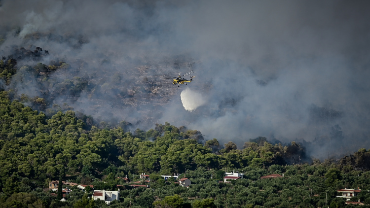 Φωτιά σε αγροτική έκταση στην Ιστιαία Ευβοίας
