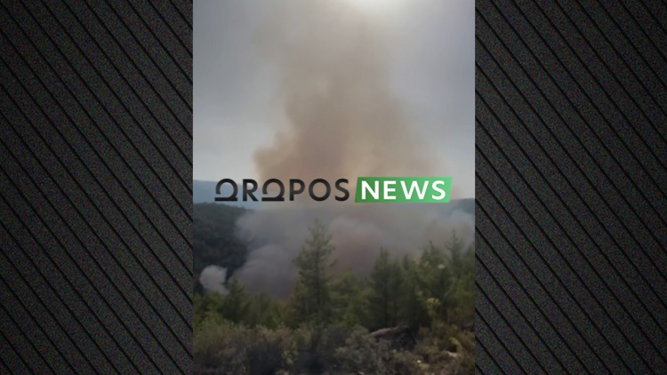 Φωτιά τώρα στην περιοχή Μαρκόπουλο Ωρωπού: 112 για ετοιμότητα, ενισχύθηκαν οι δυνάμεις της Πυροσβεστικής, δείτε βίντεο