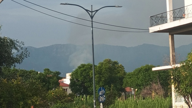 Φωτιά τώρα στην περιοχή Αγριλιά Μεσολογγίου, σηκώθηκαν 5 αεροσκάφη
