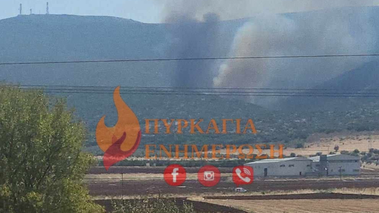 Φωτιά τώρα στον Μύτικα Θήβας, επιχειρούν 8 αεροσκάφη
