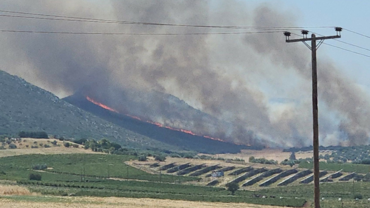 Φωτιά στον Μύτικα Θήβας: Επιχειρούν 8 αεροσκάφη, δείτε βίντεο και φωτογραφίες 