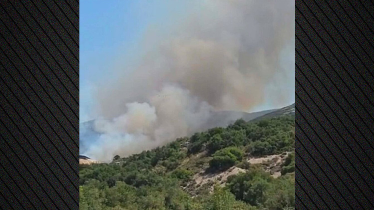Φωτιά τώρα στον Μύτικα Θήβας, επιχειρούν 8 αεροσκάφη
