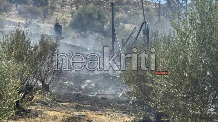 Οριοθετήθηκε η φωτιά στην Πλώρα του Ηρακλείου
